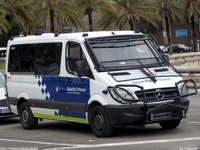 sp199.jpg