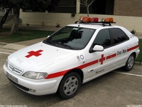 sp202.jpg
