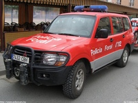 sp240.jpg
