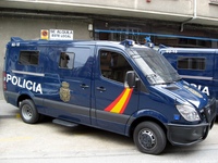 sp255.jpg