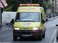 sp269.jpg
