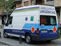 sp270.jpg