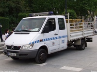 sp273.jpg