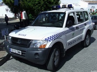 sp285.jpg
