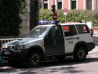 sp321.jpg