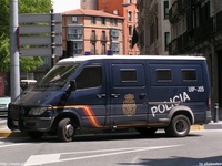sp324.jpg