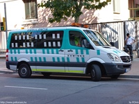 sp391.jpg