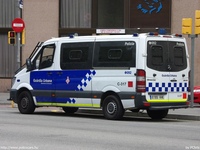 sp433.jpg