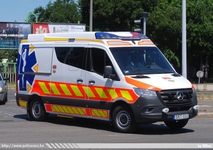spec310.jpg