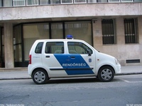 suzuki029.jpg