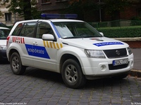 suzuki100.jpg