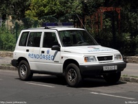 suzuki111.jpg