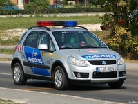 suzuki133.jpg