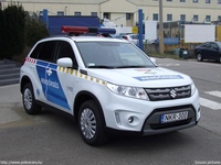 suzuki149.jpg