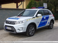 suzuki162.jpg