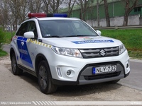 suzuki163.jpg