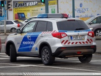 suzuki196.jpg