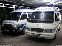 th023.jpg
