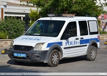 tr74.jpg