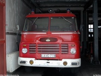 tuz608.jpg