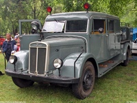 tuz734.jpg