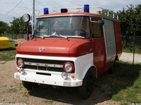 tuz781.jpg