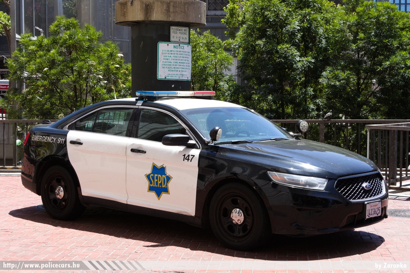 Ford Police Interceptor, San Francisco Police Department, fotó: Zaronka
Keywords: USA Amerikai Egyesült Államok rendőr rendőrautó rendőrség police policecar united states