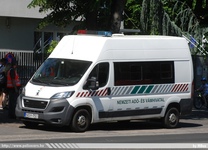 vp244.jpg