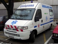 yu081.jpg