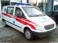 yu135.jpg