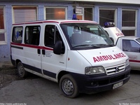 yu236.jpg