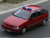 yu251.jpg