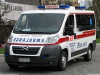 yu275.jpg