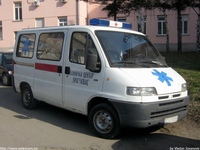 yu311.jpg