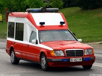 yu354.jpg